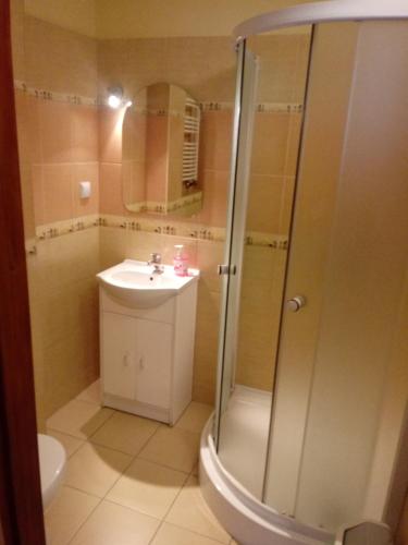 a bathroom with a shower and a sink and a toilet at Gazdówka "Pod Pstrągiem" in Korbielów