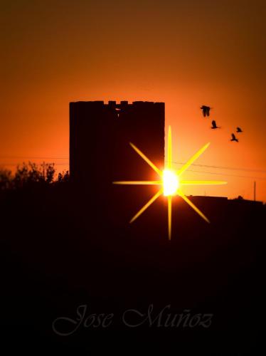 a sunset with birds flying in front of the sun at Casa Cueva El Pocito in Peñaflor