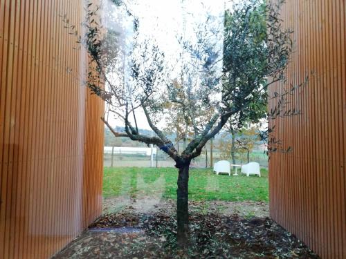 Κήπος έξω από το Quinta do Olival