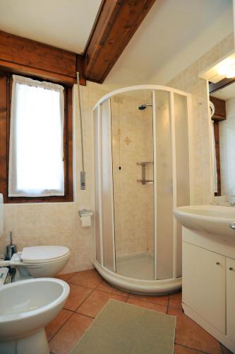 a bathroom with a shower and a toilet and a sink at Casa Viola Dependance in Valdidentro
