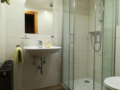 W łazience znajduje się umywalka i prysznic. w obiekcie Hoazhof w Kals am Großglockner