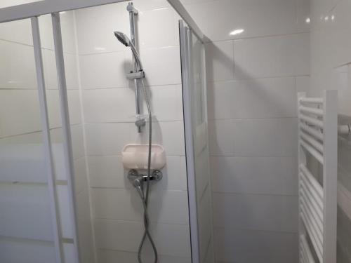 La salle de bains est pourvue d'une douche avec un pommeau de douche. dans l'établissement studio climatisé, à Avignon