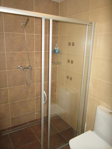 a shower stall in a bathroom with a toilet at Penzion Letná in Velké Meziříčí