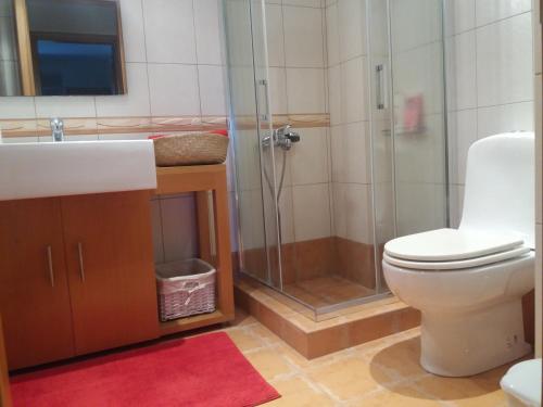 Un baño con ducha, inodoro y lavabo. en Villa Achilleos, en Possidi