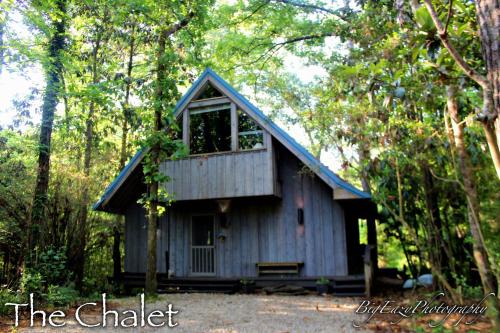 a small cabin in the middle of the woods at The River Chalet in Folsom