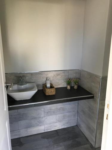 a bathroom with a sink and a counter with a sink at Complejo Ayenué & Spa II in Ostende