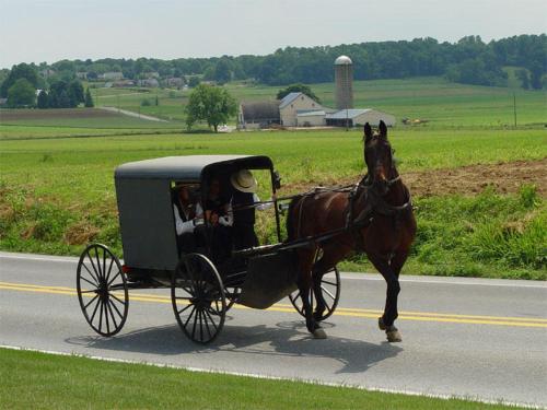 a horse pulling a carriage down a road at The Inn at Leola Village in Lancaster
