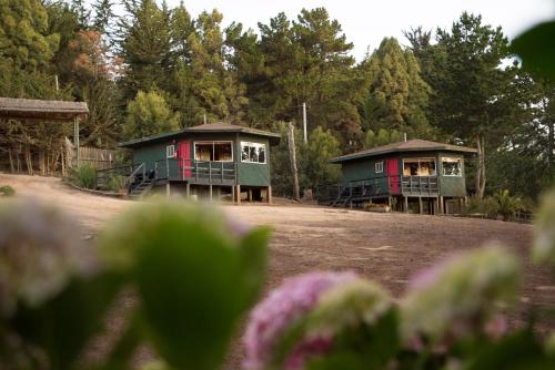two cottages on a hill with trees in the background at Cabañas Lugano in Pichilemu