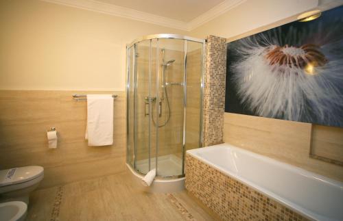 a bathroom with a shower and a tub and a toilet at Hotel Delfina in Złotoria