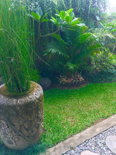 a stone planter with plants in a garden at Heaven Villa Ubud in Ubud