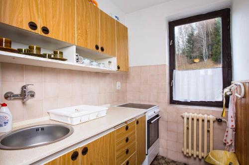 a kitchen with a sink and a window at Apartmán Braun in Rokytnice nad Jizerou