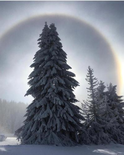 a snow covered christmas tree with a rainbow in the background at Silver Mountain Milmari in Kopaonik