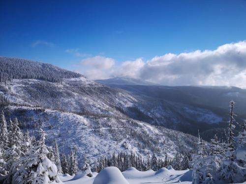 a view of a snow covered mountain with trees at Horský apartmán 212 - Cihlářka in Pec pod Sněžkou