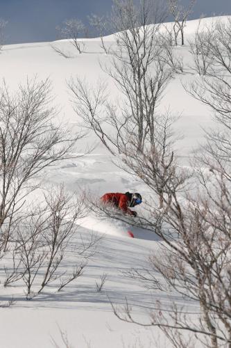 a person is skiing down a snow covered slope at Lotte Arai Resort in Myoko