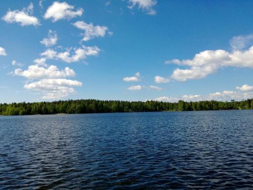 a large body of water with trees in the background at Tervalepikon Torpat in Sysmä