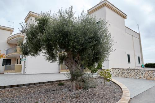 a tree in front of a church at Casa Bellavista in Torre Canne
