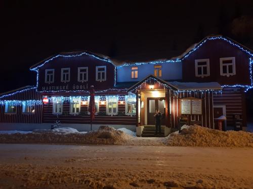 a house covered in christmas lights in the snow at Pension Martinské údolí in Kořenov