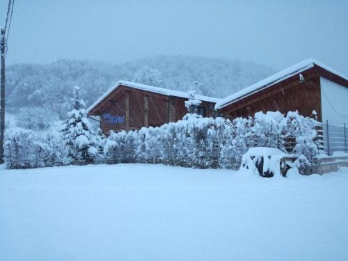 a house covered in snow in front at Villa Diva in Budureasa