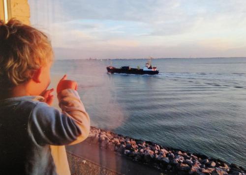 a child looking out a window at a boat in the water at Port Scaldis Apartment in Breskens
