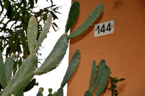a green cactus next to a building with the number at Cà da Nalda in Lavagna