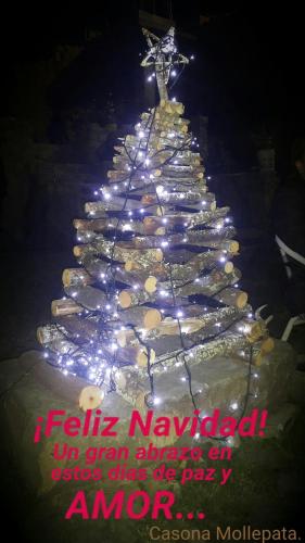 a christmas tree is lit up with lights at Casona Mollepata in Mollepata