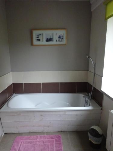 a bathroom with a white tub in a room at Gîte au Martin Pêcheur in Laiz