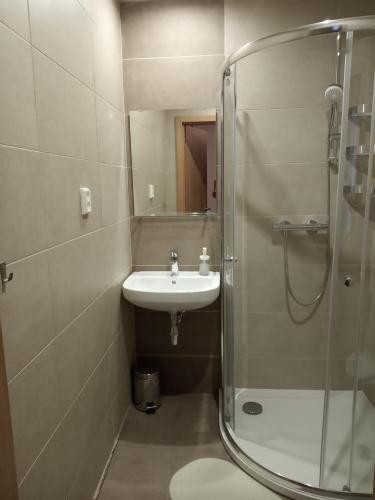 a small bathroom with a sink and a shower at Penzion a restaurace V Háji in Loučná pod Klínovcem
