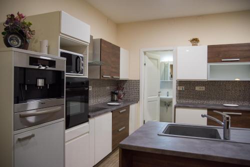 Virtuvė arba virtuvėlė apgyvendinimo įstaigoje Plaza Apartments