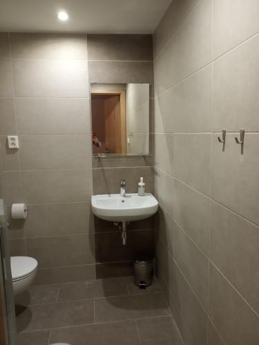 a bathroom with a sink and a toilet at Penzion a restaurace V Háji in Loučná pod Klínovcem