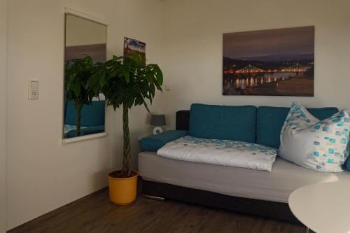 een woonkamer met een blauwe bank en een potplant bij FeWo „Zum Napoleonstein“ in Dresden
