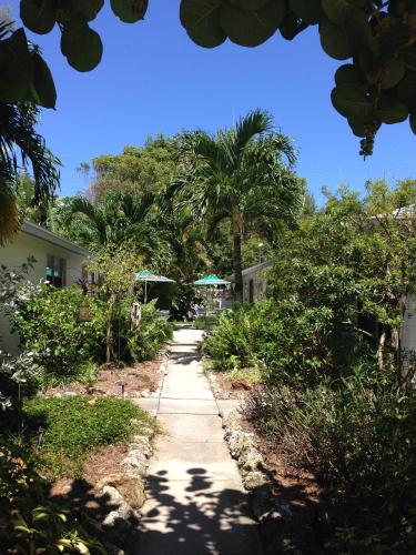 a path with palm trees and a building at Bamboo Apartments in Holmes Beach