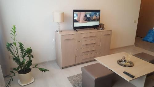 a living room with a tv on top of a dresser at Lieporių Apartamentai in Šiauliai