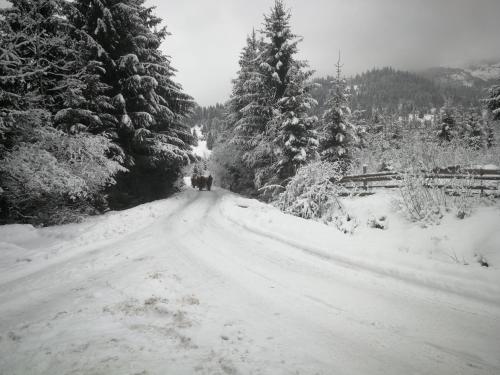 Maramures Landscape – Photos 3