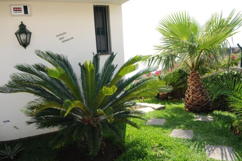 two palm trees in a yard next to a building at Vivenda Belo Horizonte in Caniço