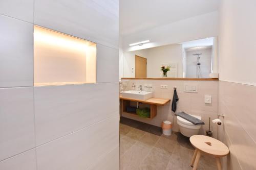 a bathroom with a toilet and a sink and a mirror at Salzgeber Appartements in Sankt Gallenkirch