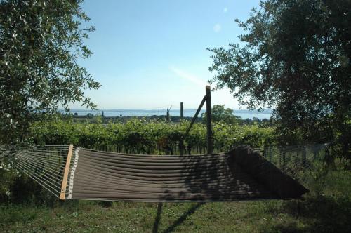 a hammock sitting in the grass next to a field at La Luna - dependance in Bardolino