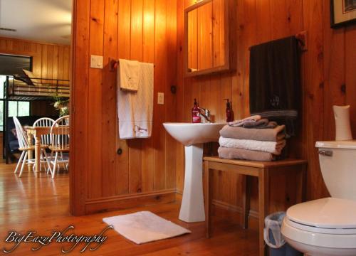 uma casa de banho com um lavatório e um WC em The Meadow Cabin em Folsom
