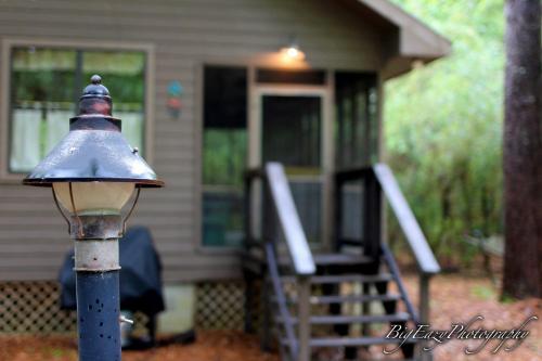 The Meadow Cabin – Photos 2