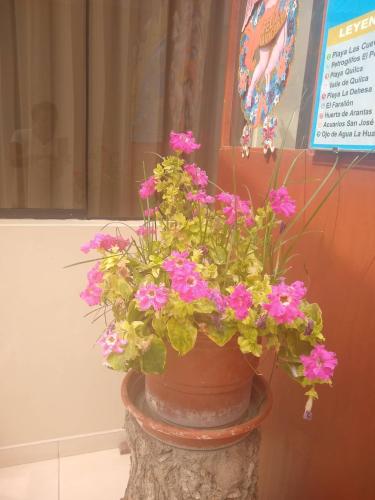 a flower pot with pink flowers in it at Hospedaje Golden Inn in Camaná