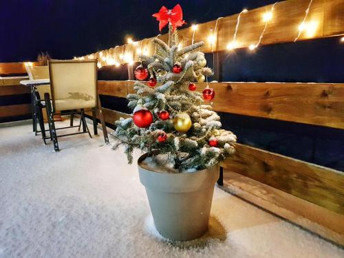 a small christmas tree in a pot with lights at Sunshine Kazbegi in Stepantsminda