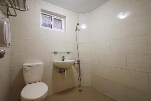 uma casa de banho com um WC e um lavatório em Rich House B&B em Kenting