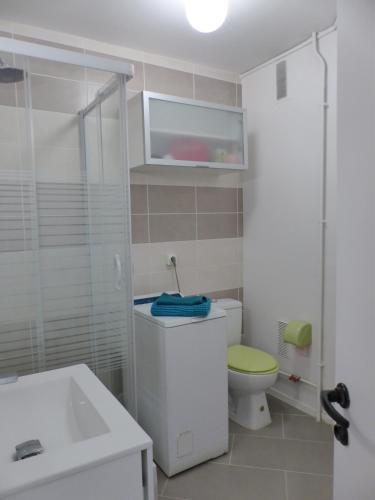 une salle de bain avec toilettes, lavabo et douche dans l'établissement Appartement Résidence JEAN RAMEAU 2 personnes vue sur le port #0278 wifi gratuit, à Hossegor