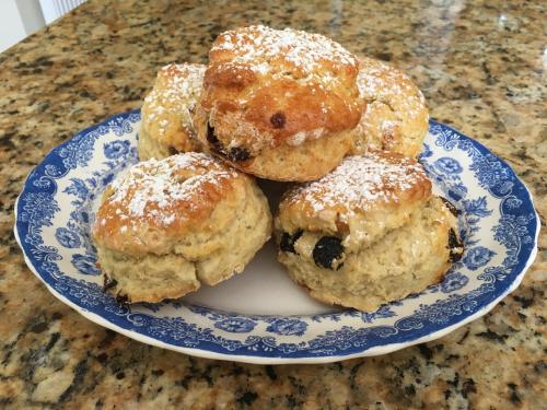 a blue and white plate with nine muffins on it at The Garden Room at Sleepy Hollow in Louisburgh