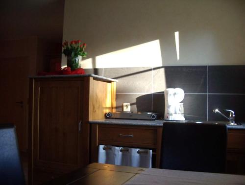 a kitchen with a sink and a counter top at Gästehaus Alt Mehring in Mehring
