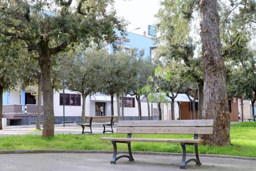 two park benches sitting in a park with trees at "La casa di Mariagrazia" Appartamento 4 locali in Sammichele di Bari