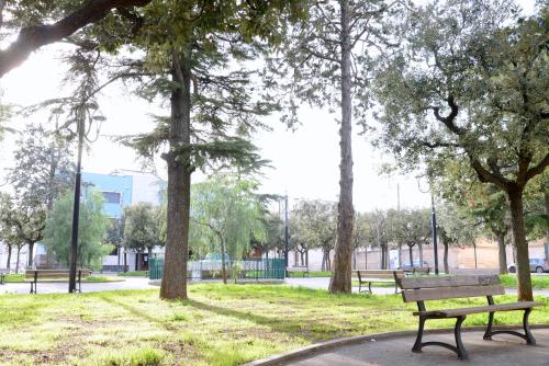 a park with two park benches and trees at "La casa di Mariagrazia" Appartamento 4 locali in Sammichele di Bari