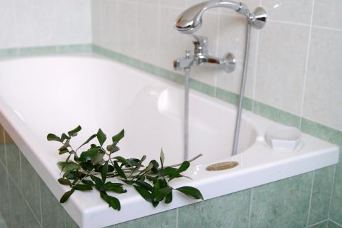 a plant sitting on a white sink in a bathroom at "La casa di Mariagrazia" Appartamento 4 locali in Sammichele di Bari