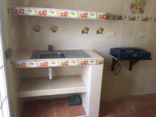 Il comprend une cuisine équipée d'un évier et d'une cuisinière. dans l'établissement Apartamento Colonial Campeche, à Campeche