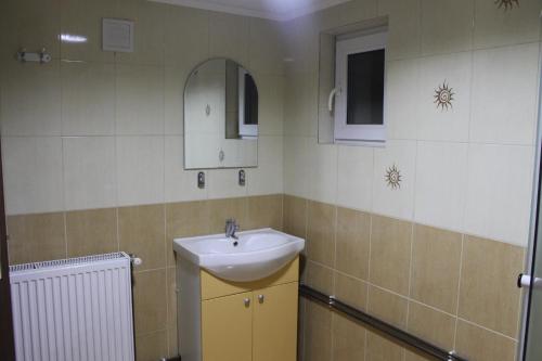 a bathroom with a sink and a mirror at Casa Andreia in Gura Humorului