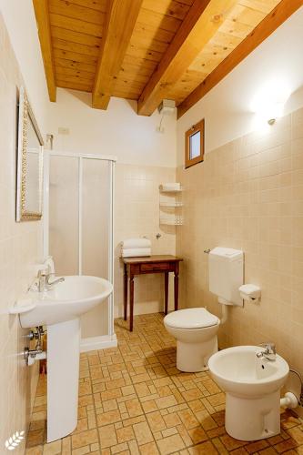 a bathroom with a toilet and a sink at Ronc Dai Luchis in Faedis
